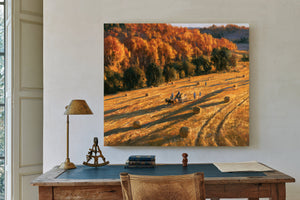 Autumn Harvest Field With Horse-Drawn Wagon by Bella Frye