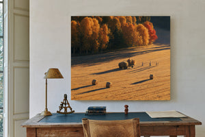 Autumn Hay Harvest In Golden Fields by Bella Frye