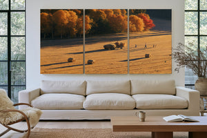 Autumn Hay Harvest In Golden Fields by Bella Frye