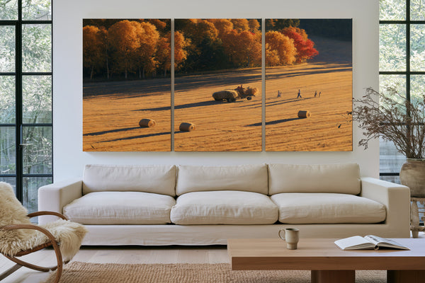 Autumn Hay Harvest In Golden Fields by Bella Frye