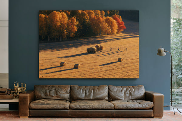 Autumn Hay Harvest In Golden Fields by Bella Frye