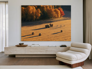 Autumn Hay Harvest In Golden Fields by Bella Frye