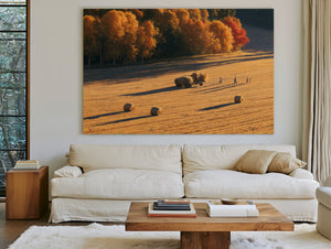 Autumn Hay Harvest In Golden Fields by Bella Frye