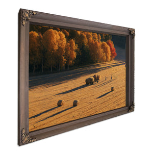 Autumn Hay Harvest In Golden Fields by Bella Frye
