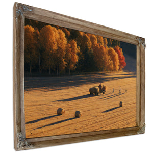 Autumn Hay Harvest In Golden Fields by Bella Frye