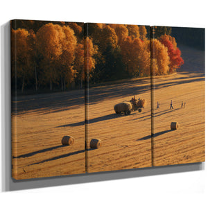 Autumn Hay Harvest In Golden Fields by Bella Frye