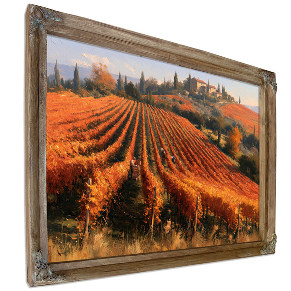 Autumn Vineyard Harvest On Rolling Hills by Bella Frye