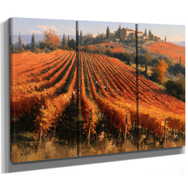 Autumn Vineyard Harvest On Rolling Hills by Bella Frye