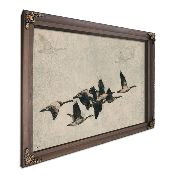 Canada Geese Flock In Flight Illustration by Bella Frye