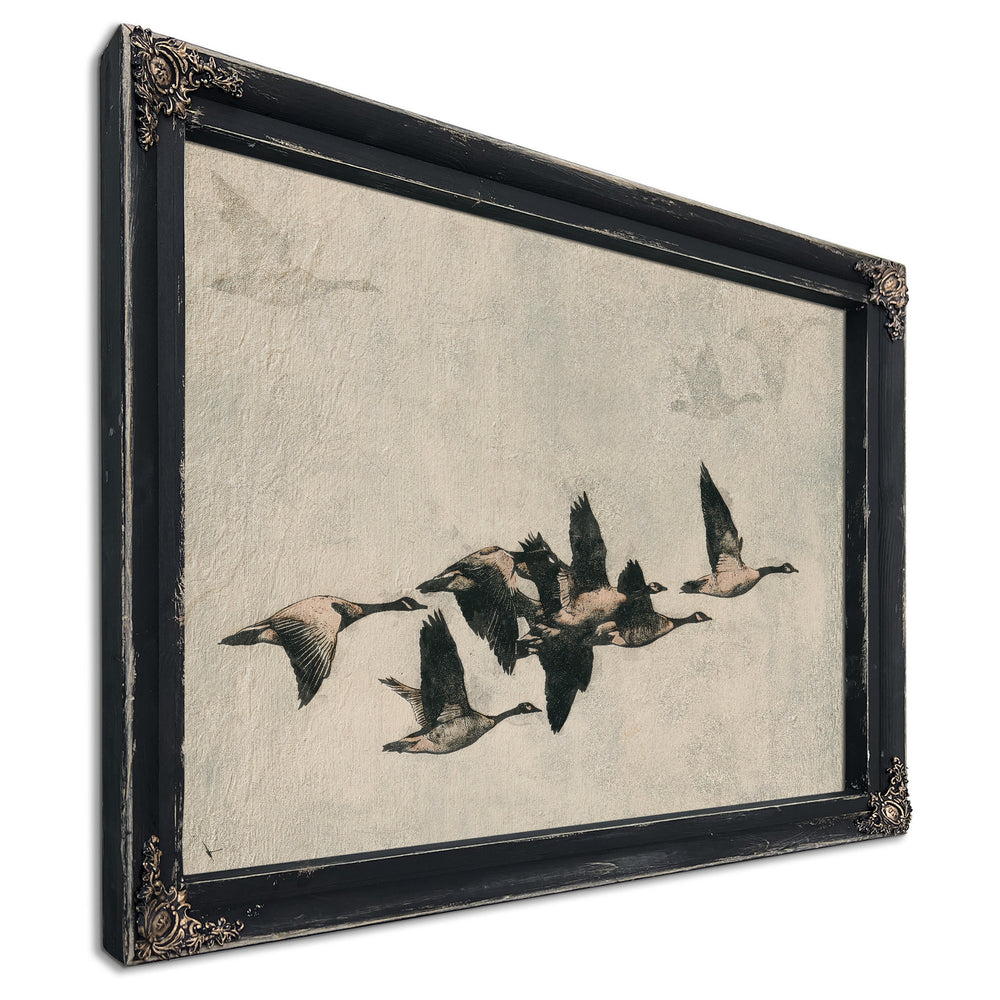 Canada Geese Flock In Flight Illustration by Bella Frye