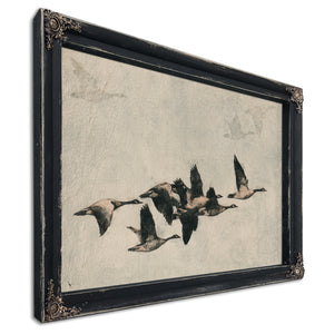 Canada Geese Flock In Flight Illustration by Bella Frye