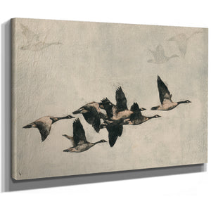Canada Geese Flock In Flight Illustration by Bella Frye