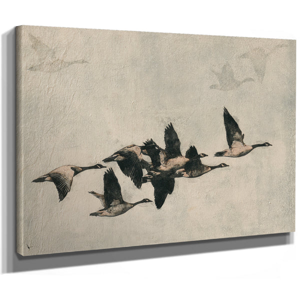 Canada Geese Flock In Flight Illustration by Bella Frye