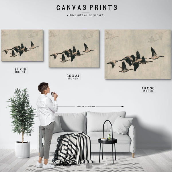 Canada Geese Flock In Flight Illustration by Bella Frye