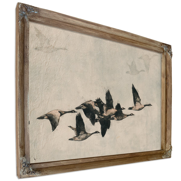 Canada Geese Flock In Flight Illustration by Bella Frye