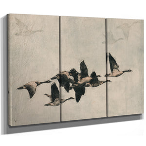 Canada Geese Flock In Flight Illustration by Bella Frye