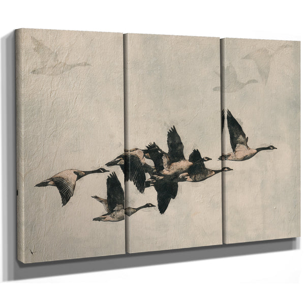 Canada Geese Flock In Flight Illustration by Bella Frye