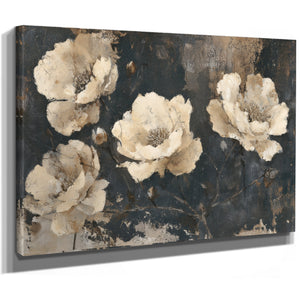 Cream Peonies On Dark Textured Background by Bella Frye