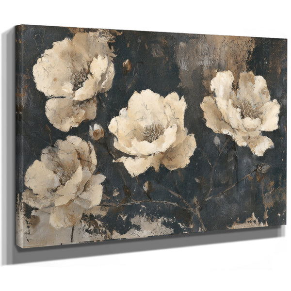 Cream Peonies On Dark Textured Background by Bella Frye