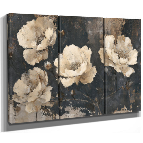 Cream Peonies On Dark Textured Background by Bella Frye