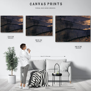 Dark Rolling Hills With Bare Winter Trees by Bella Frye