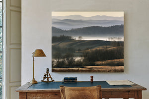 Misty Rolling Hills And Bare Winter Trees by Bella Frye