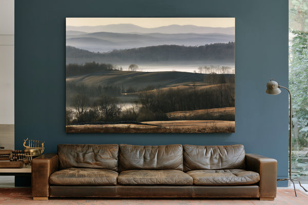 Misty Rolling Hills And Bare Winter Trees by Bella Frye