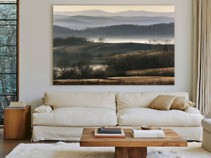 Misty Rolling Hills And Bare Winter Trees by Bella Frye