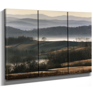 Misty Rolling Hills And Bare Winter Trees by Bella Frye