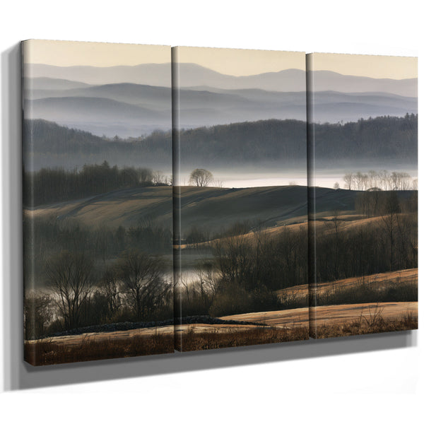Misty Rolling Hills And Bare Winter Trees by Bella Frye