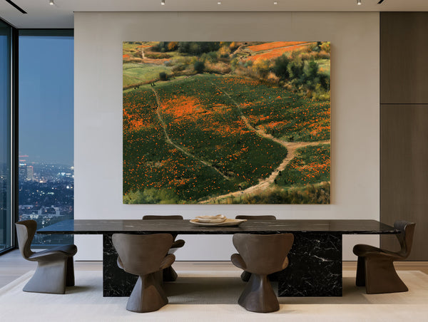 Orange Wildflower Hills With Winding Path by Bella Frye