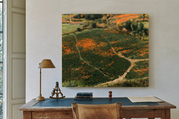 Orange Wildflower Hills With Winding Path by Bella Frye