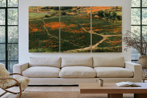 Orange Wildflower Hills With Winding Path by Bella Frye