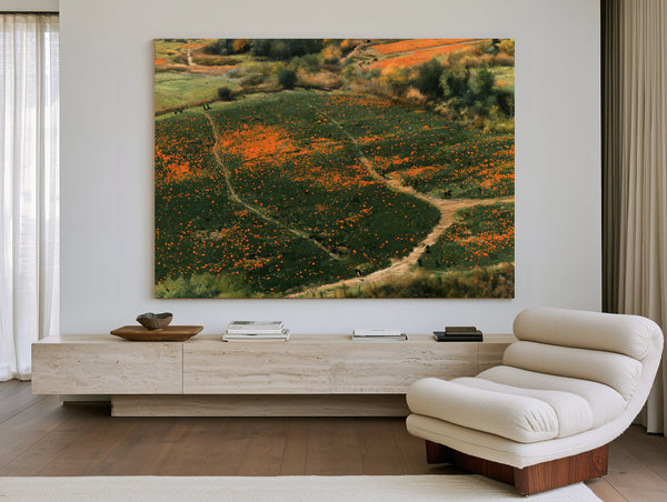 Orange Wildflower Hills With Winding Path by Bella Frye