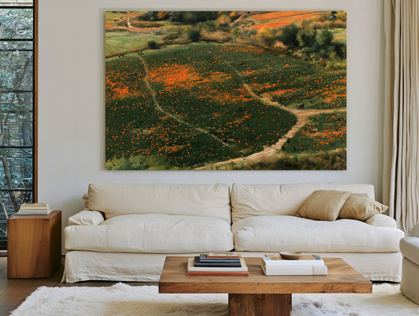 Orange Wildflower Hills With Winding Path by Bella Frye