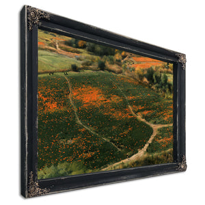 Orange Wildflower Hills With Winding Path by Bella Frye
