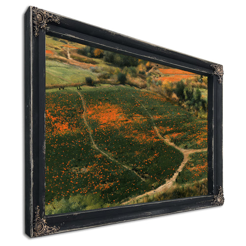 Orange Wildflower Hills With Winding Path by Bella Frye