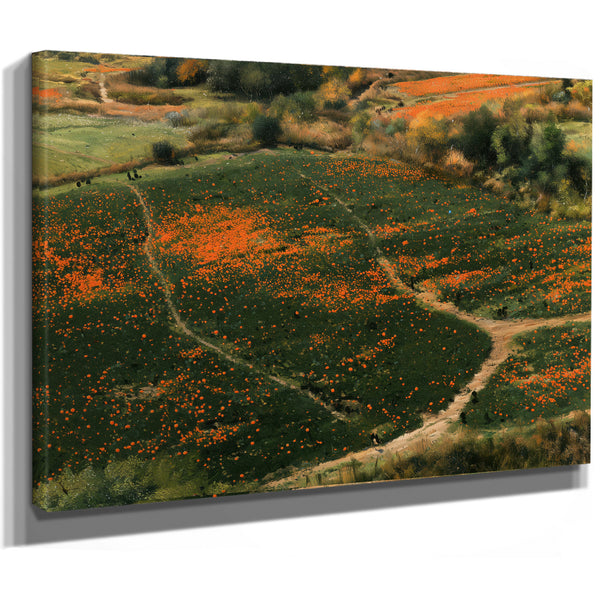 Orange Wildflower Hills With Winding Path by Bella Frye