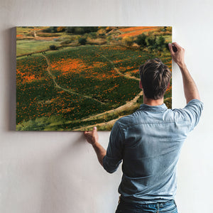 Orange Wildflower Hills With Winding Path by Bella Frye
