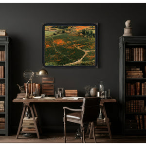 Orange Wildflower Hills With Winding Path by Bella Frye