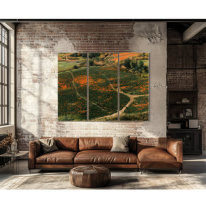 Orange Wildflower Hills With Winding Path by Bella Frye