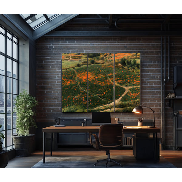 Orange Wildflower Hills With Winding Path by Bella Frye