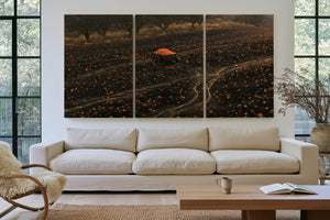 Pumpkin Harvest Field With Dark Cart by Bella Frye