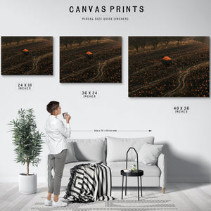 Pumpkin Harvest Field With Dark Cart by Bella Frye