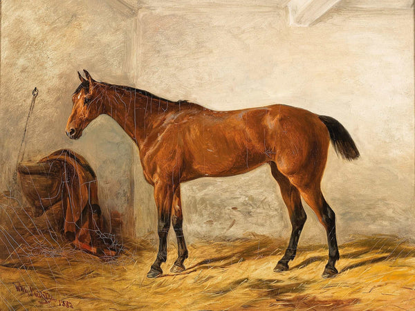 Wilhelm Richter A Bay Horse In A Stable With Saddle Blanket By Wilhelm Richter