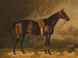 Emil Volkers A Bay Horse In A Stable By Emil Volkers 1