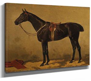 Emil Volkers 14" x 11" / Stretched Canvas Wrap A Bay Horse In A Stable By Emil Volkers