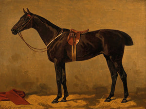 Emil Volkers A Bay Horse In A Stable By Emil Volkers