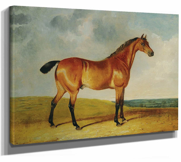 A Bay Horse In A Vast Landscape By John Frederick Herring Jr