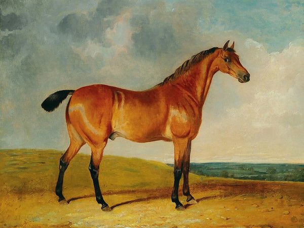 John Frederick Herring Jr A Bay Horse In A Vast Landscape By John Frederick Herring Jr